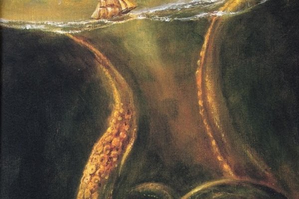Kraken kraken link24 info